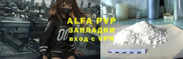 ECSTASY Богородицк