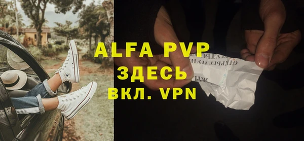 ГАЛЛЮЦИНОГЕННЫЕ ГРИБЫ Богданович