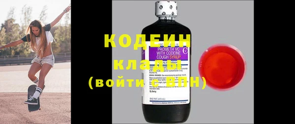 ГАЛЛЮЦИНОГЕННЫЕ ГРИБЫ Богданович