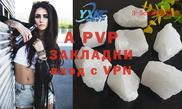 ГАЛЛЮЦИНОГЕННЫЕ ГРИБЫ Богданович
