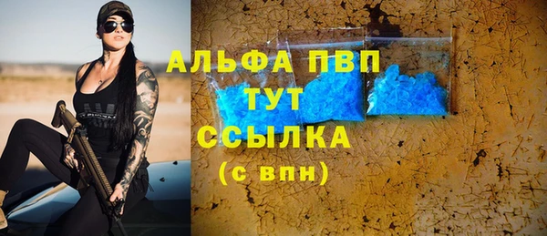 ECSTASY Богородицк