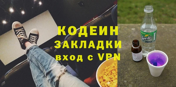 ГАЛЛЮЦИНОГЕННЫЕ ГРИБЫ Богданович