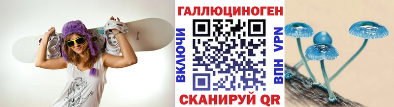 Псилоцибиновые грибы мицелий  даркнет сайт  Щучье 